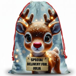 CHRISTMAS GIFT BAGS